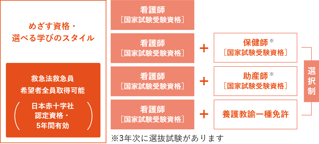 めざす資格・選べる学びのスタイル