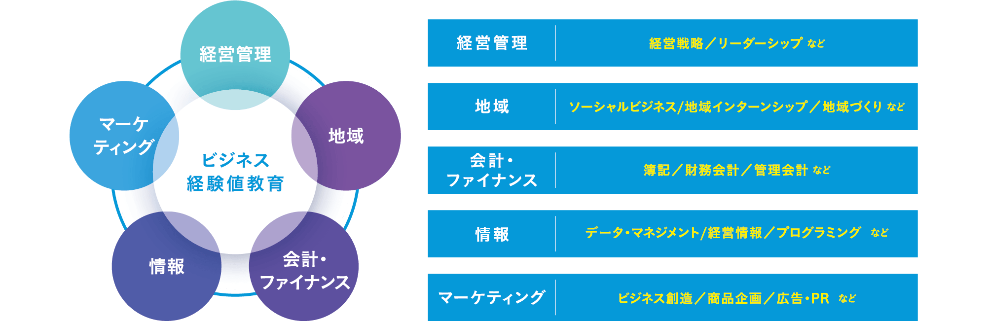 ビジネス経験値教育　経営管理／地域／会計・ファイナンス／情報／マーケティング